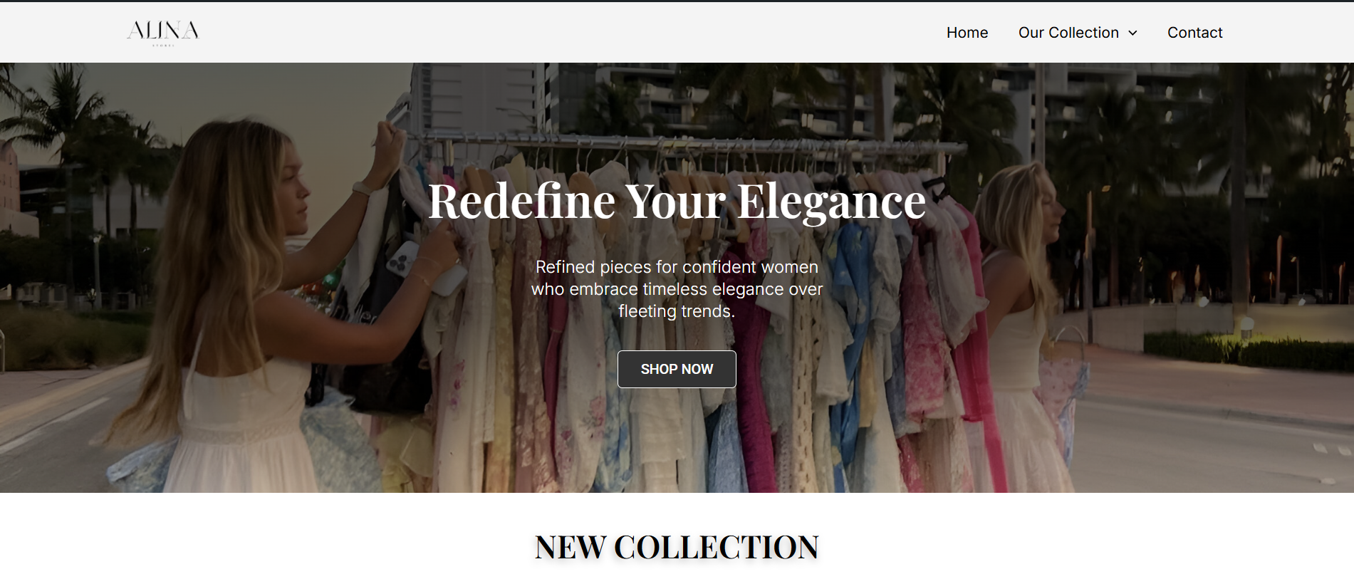 Alina1 Store